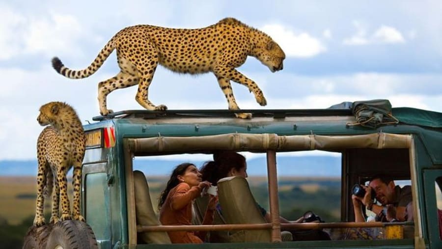 Tsavo East